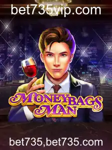 Tudo o que você precisa saber sobre MoneybagsMan: Um guia completo