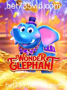 Explorando o Fascinante Mundo de WonderElephant